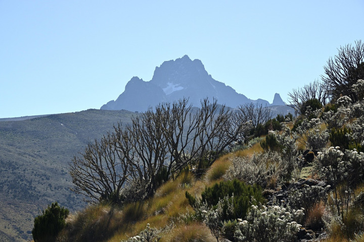 Mount Kenya climbing packages — trekking in Kenya
