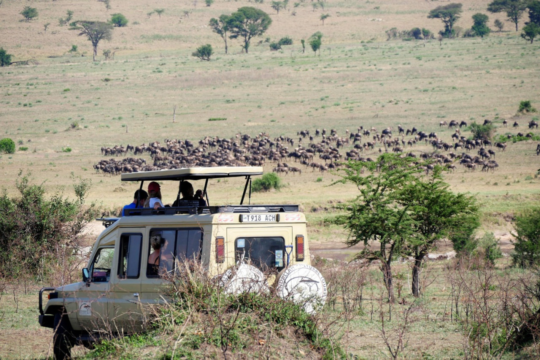 Kenya safari packing list — game drive vehicle and landscape