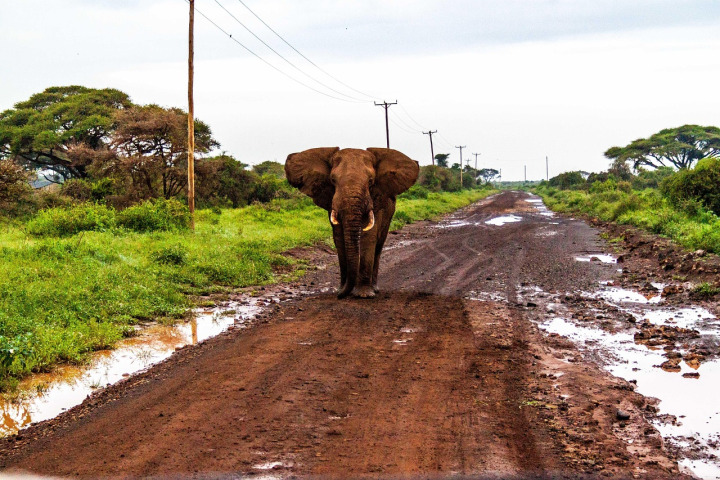 Corporate & team-building retreats in Kenya — safari & venues